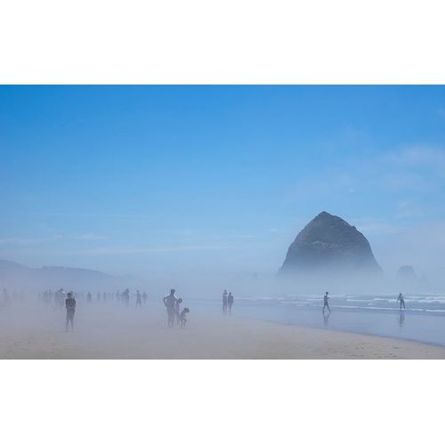 Wild, Jamie and Judy 아티스트의 Oregon-Cannon Beach Haystack Rock-beachgoers in fog작품입니다.